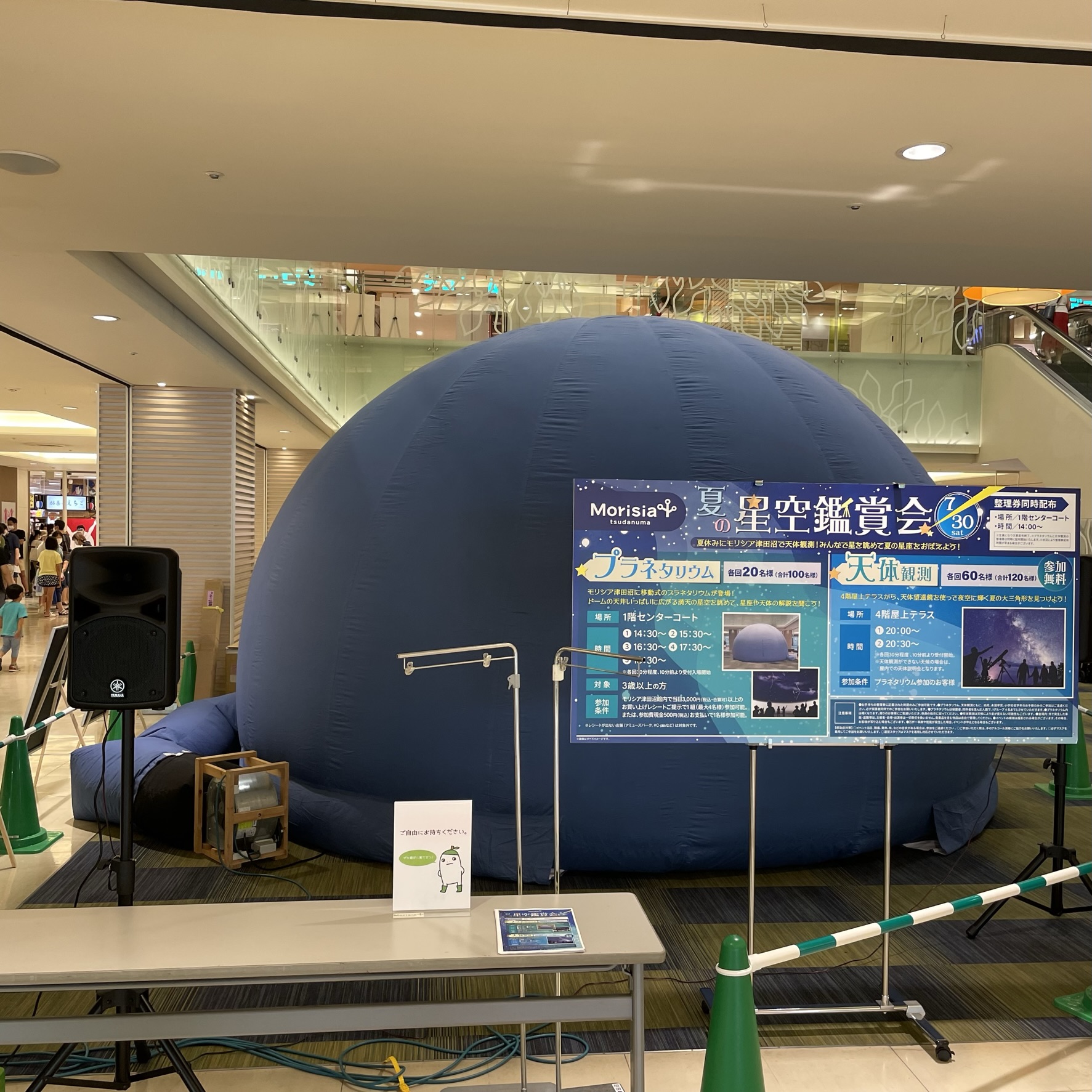ショッピングモールでの様子(5m) ショッピングモールでの様子(5m)
